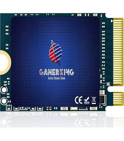 Amazon.com: GAMERKING 1TB M.2 2230 SSD NVMe PCIe Gen 3.0X4
